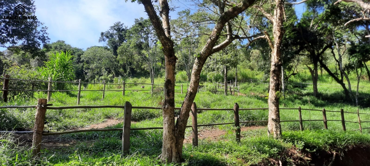 Sítio em , São Roque - Foto 13